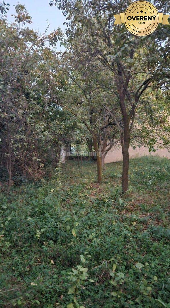 Rekreačná chata vo vinohradníckej lokalite Vráble Dušnok