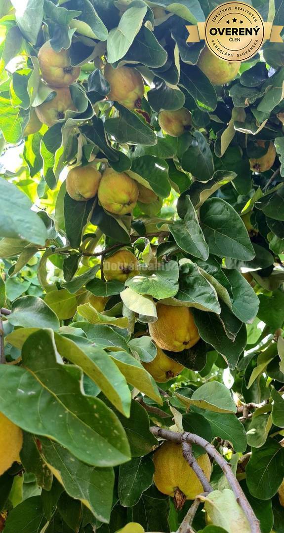 Znížená cena - na predaj poschodový 5-izb. RD+ garáž, skleník, pozemok