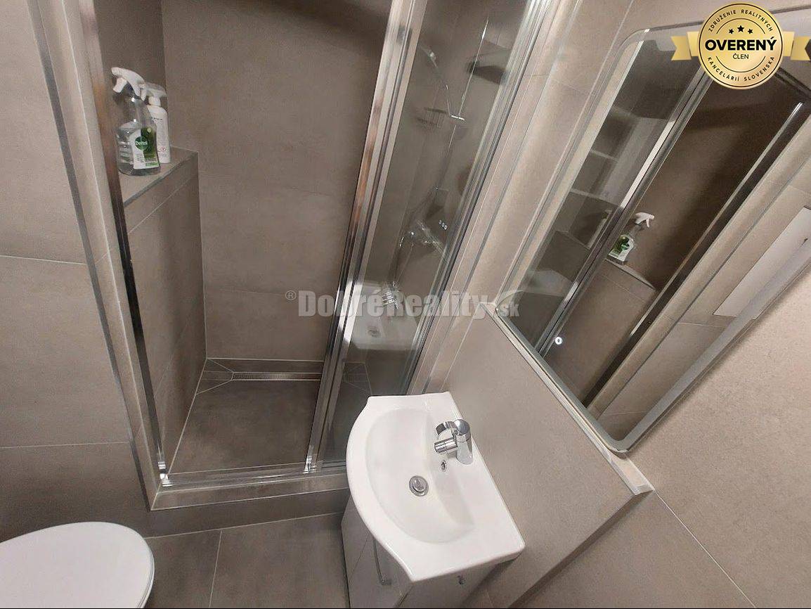 PRENÁJOM: VEĽKÝ 1 IZBOVÝ BYT BEZ BALKÓNA, RADVAŇ