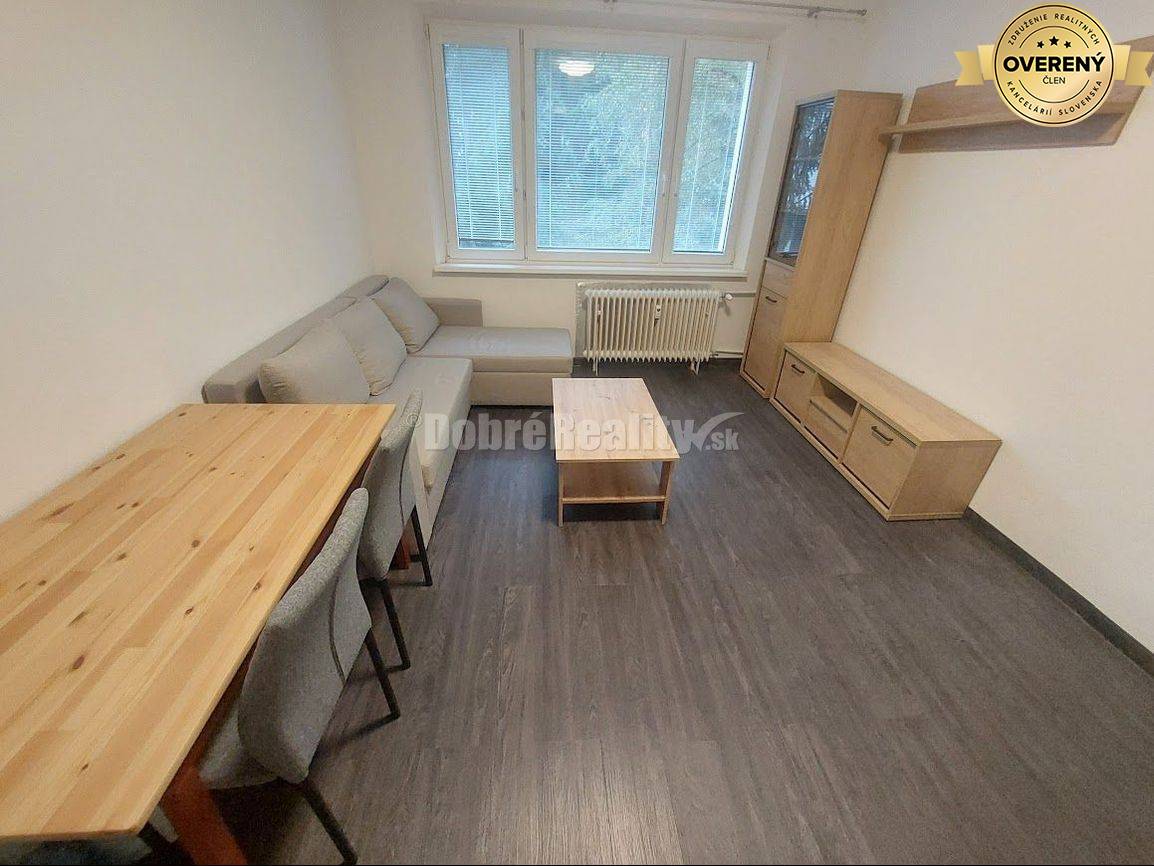 PRENÁJOM: VEĽKÝ 1 IZBOVÝ BYT BEZ BALKÓNA, RADVAŇ