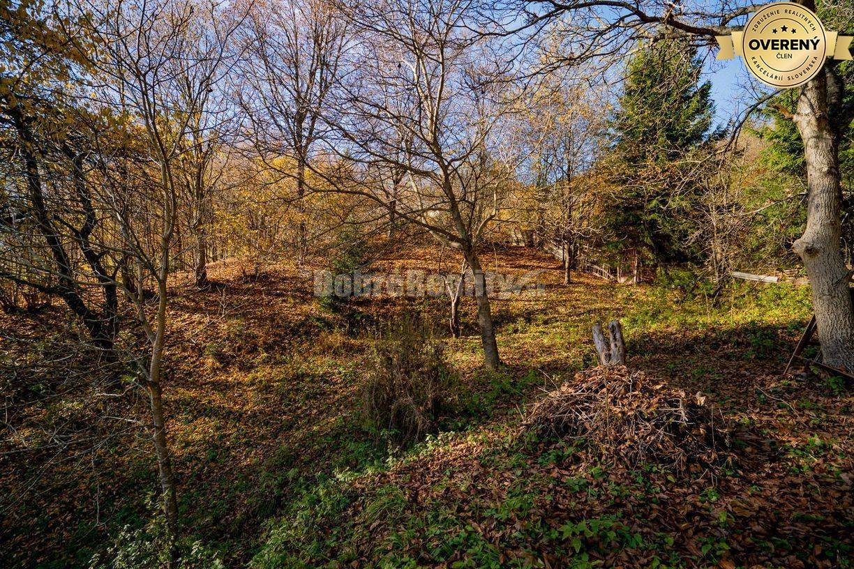 PREDAJ: Tajuplná záhrada s jazierkom a banským potôčikom, 1927 m2, Špa