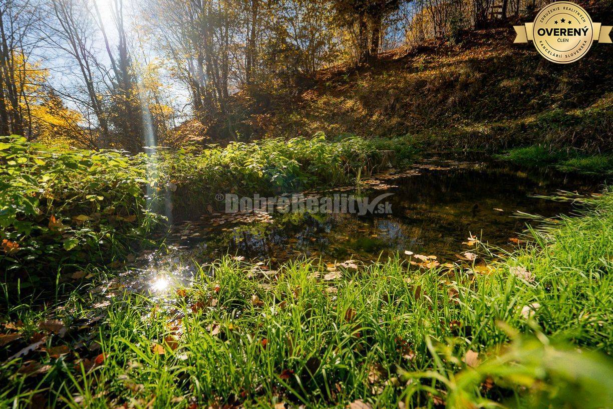 PREDAJ: Tajuplná záhrada s jazierkom a banským potôčikom, 1927 m2, Špa