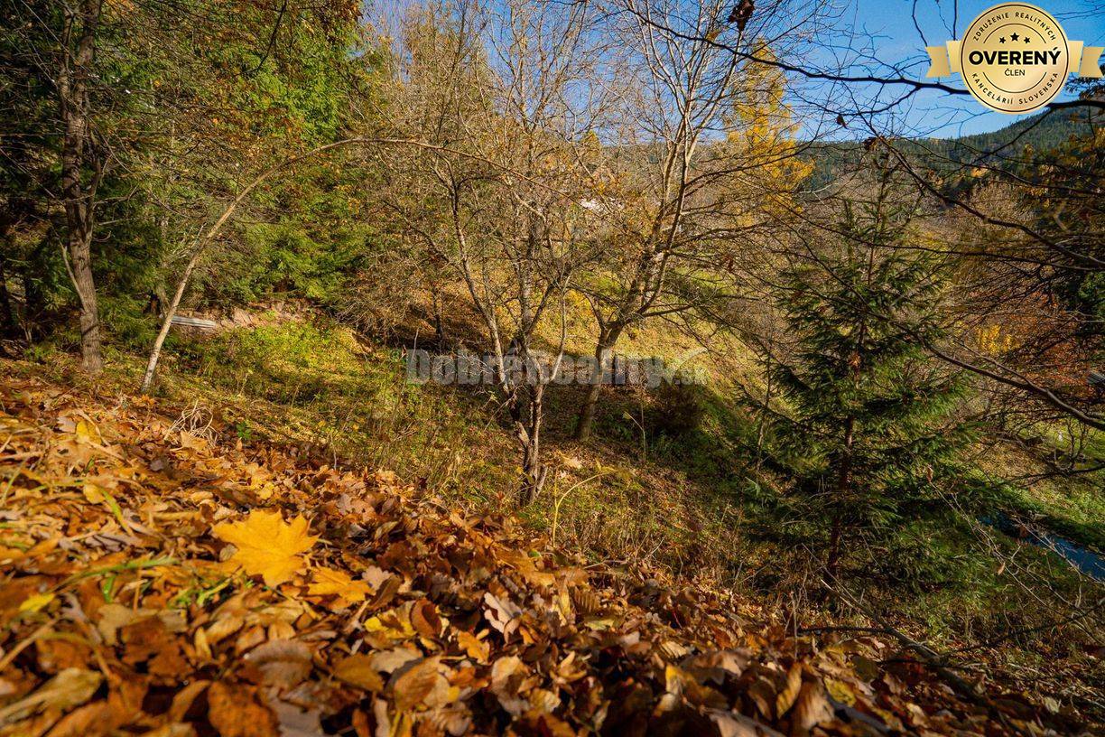 PREDAJ: Tajuplná záhrada s jazierkom a banským potôčikom, 1927 m2, Špa