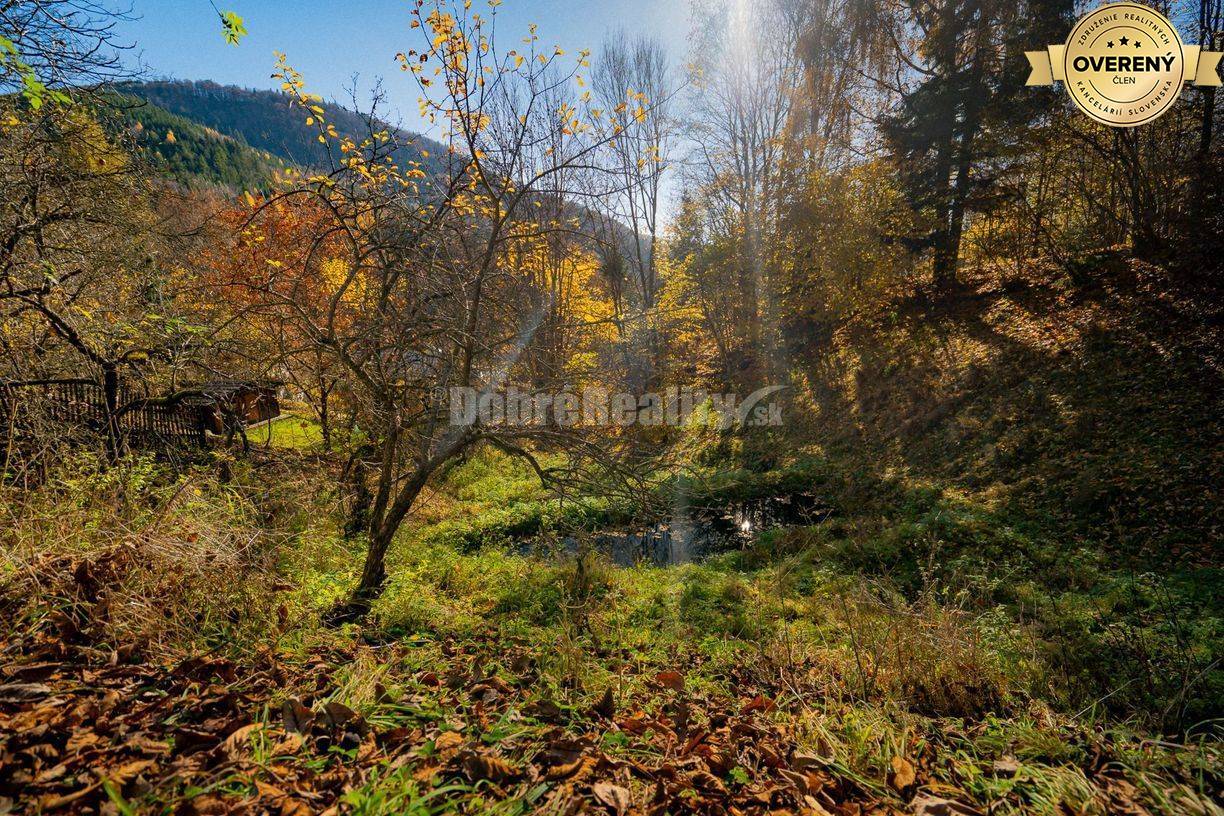 PREDAJ: Tajuplná záhrada s jazierkom a banským potôčikom, 1927 m2, Špa