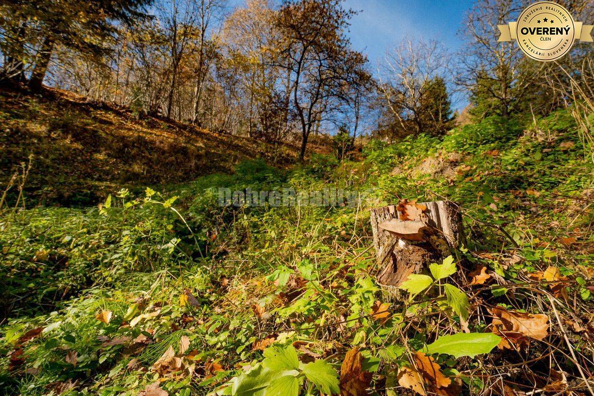 PREDAJ: Tajuplná záhrada s jazierkom a banským potôčikom, 1927 m2, Špa