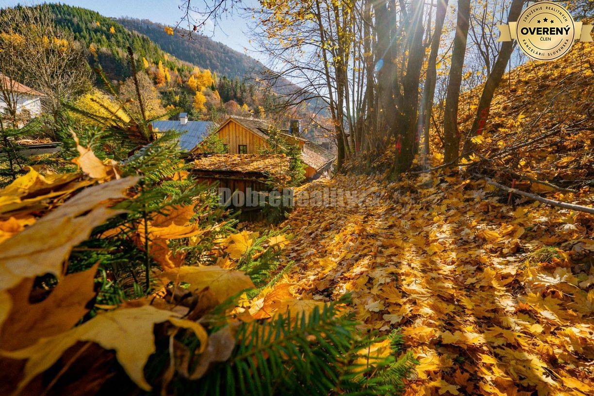 PREDAJ: Tajuplná záhrada s jazierkom a banským potôčikom, 1927 m2, Špa