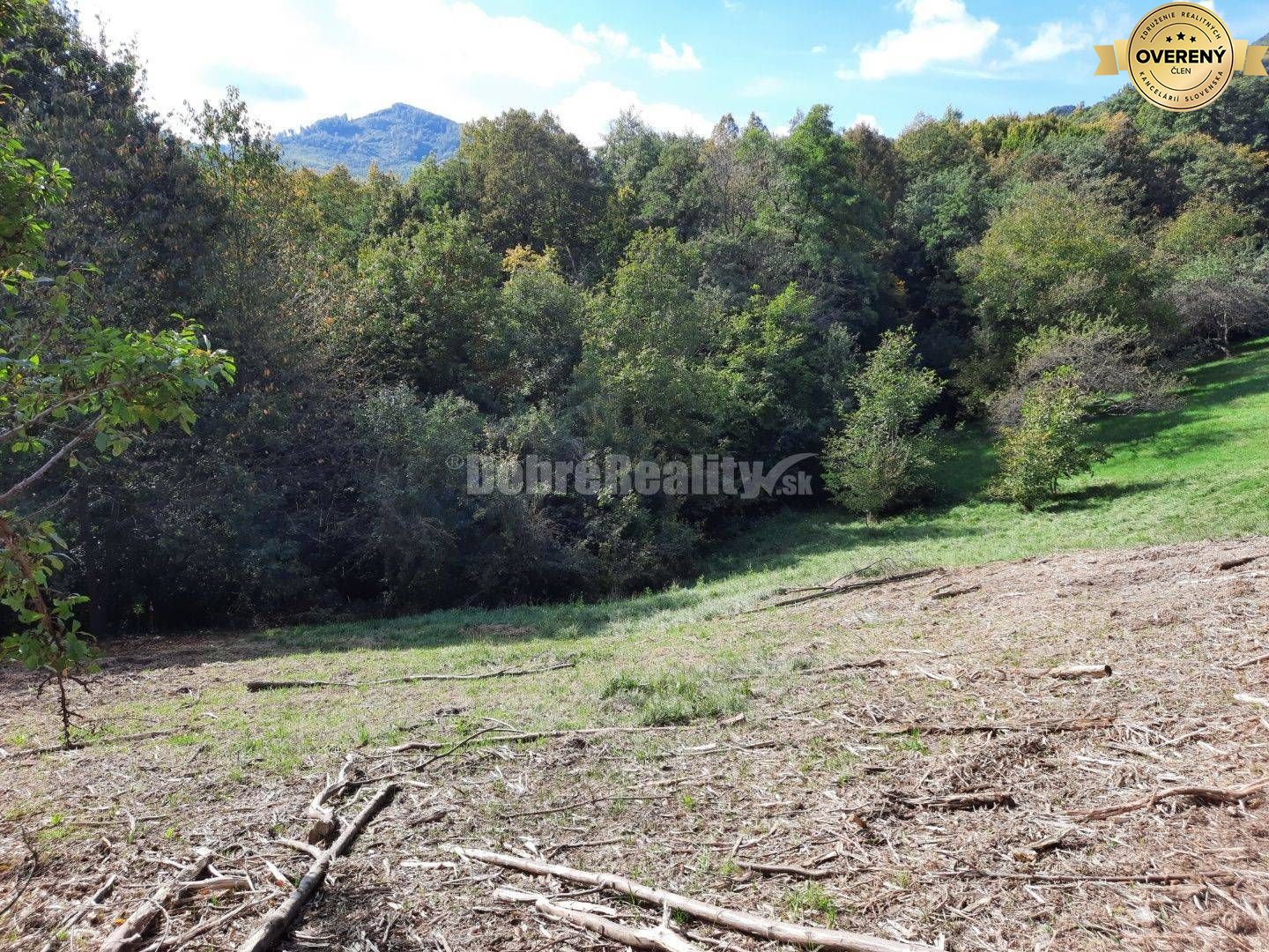 Pozemok pre výstavbu rodinného domu, 820 m2, Nová Baňa - Viničná cesta