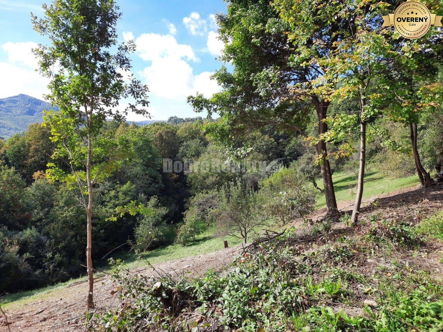 Pozemok pre výstavbu rodinného domu, 820 m2, Nová Baňa - Viničná cesta