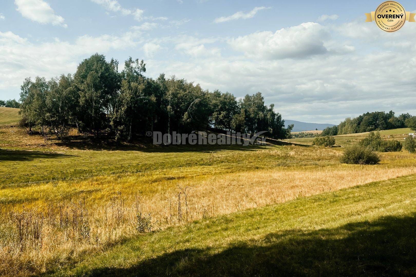 PREDAJ: Pozemok s potokom a hájom, 2587 m2, Detvianska Huta - Vrchdobr