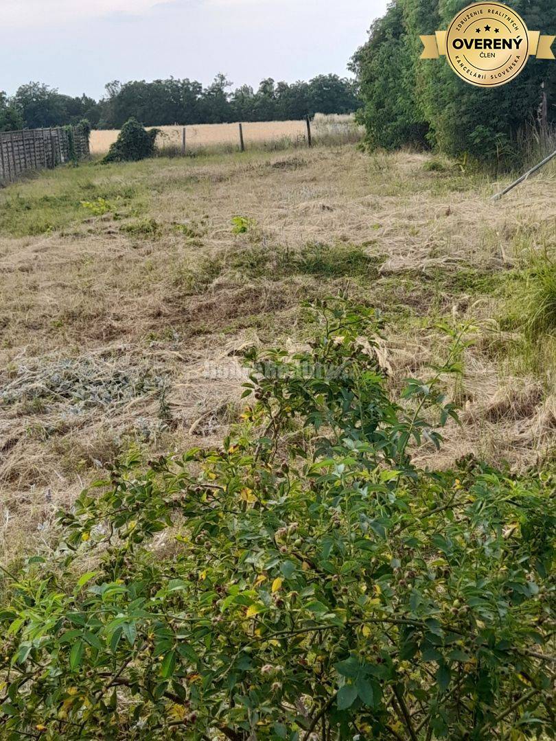 Stavebný pozemok 2815m2 Branovo