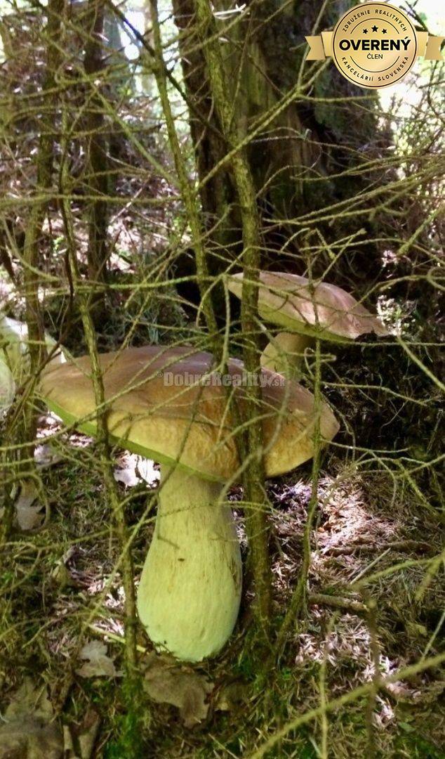 Dobré reality Vám ponúkajú na predaj obývateľnú chatu v krásnej lokal