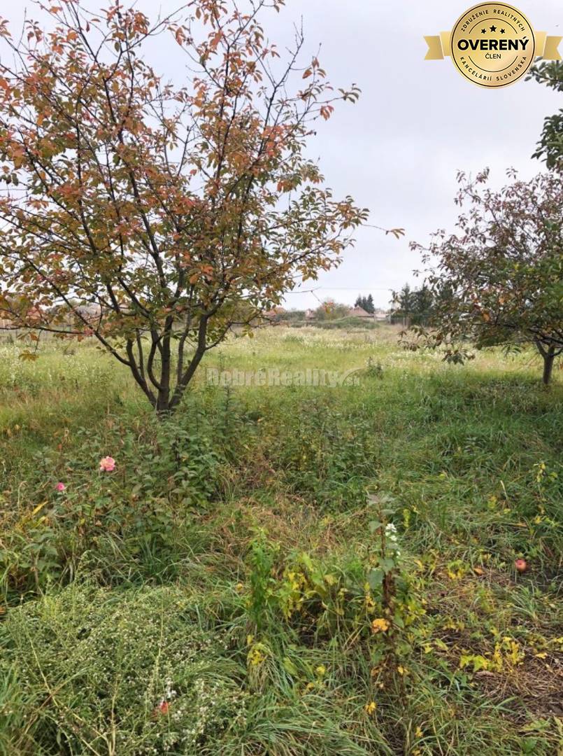 Rodinný dom s veľkým pozemkom na predaj...