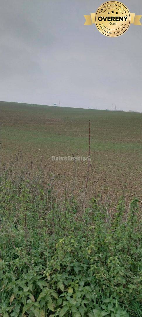 EXKLUZIVNE! na predaj orná pôda Nitra - Kynek, ulica Na Dolinu