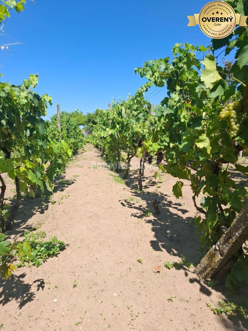 Na predaj vidiecky domček na krásnom rozlahlom pozemku v obci Imel