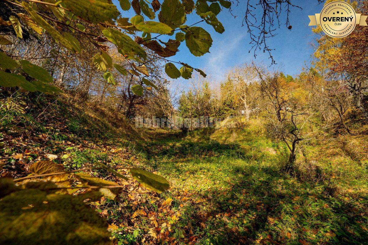 PREDAJ: Tajuplná záhrada s jazierkom a banským potôčikom, 1927 m2, Špa