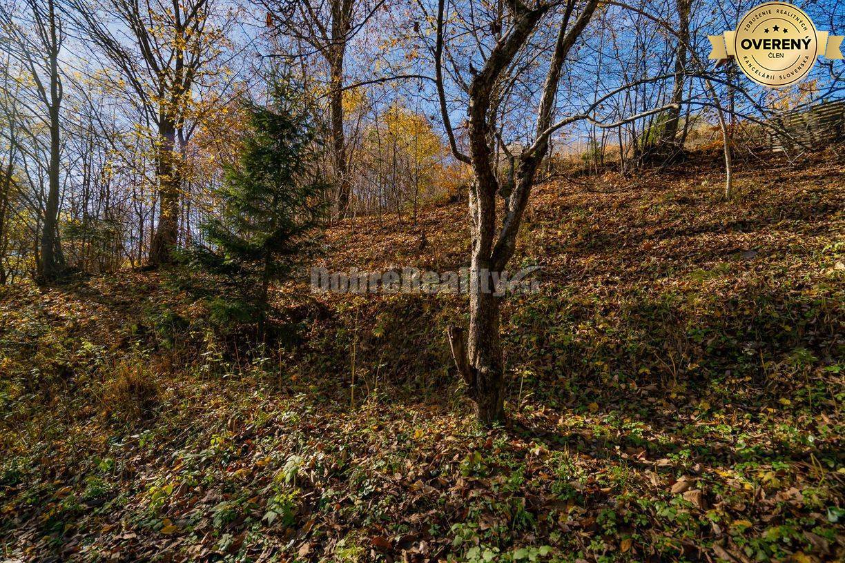 PREDAJ: Tajuplná záhrada s jazierkom a banským potôčikom, 1927 m2, Špa