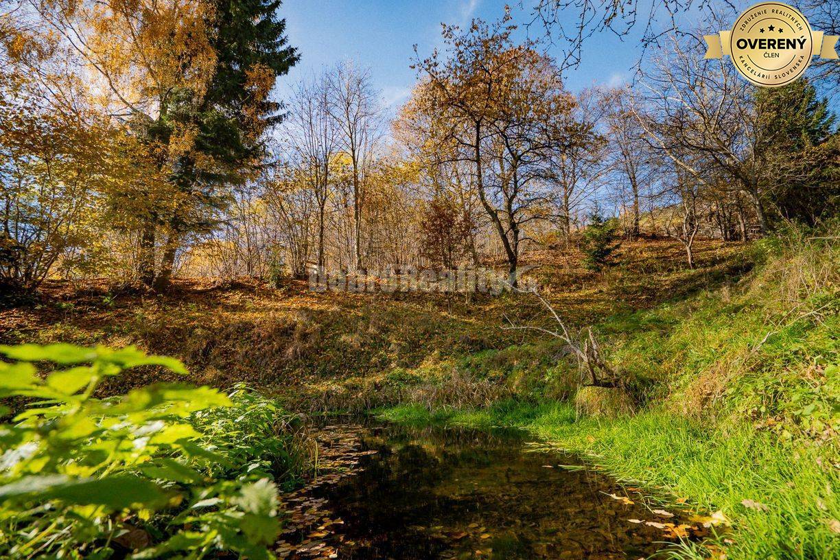 PREDAJ: Tajuplná záhrada s jazierkom a banským potôčikom, 1927 m2, Špa