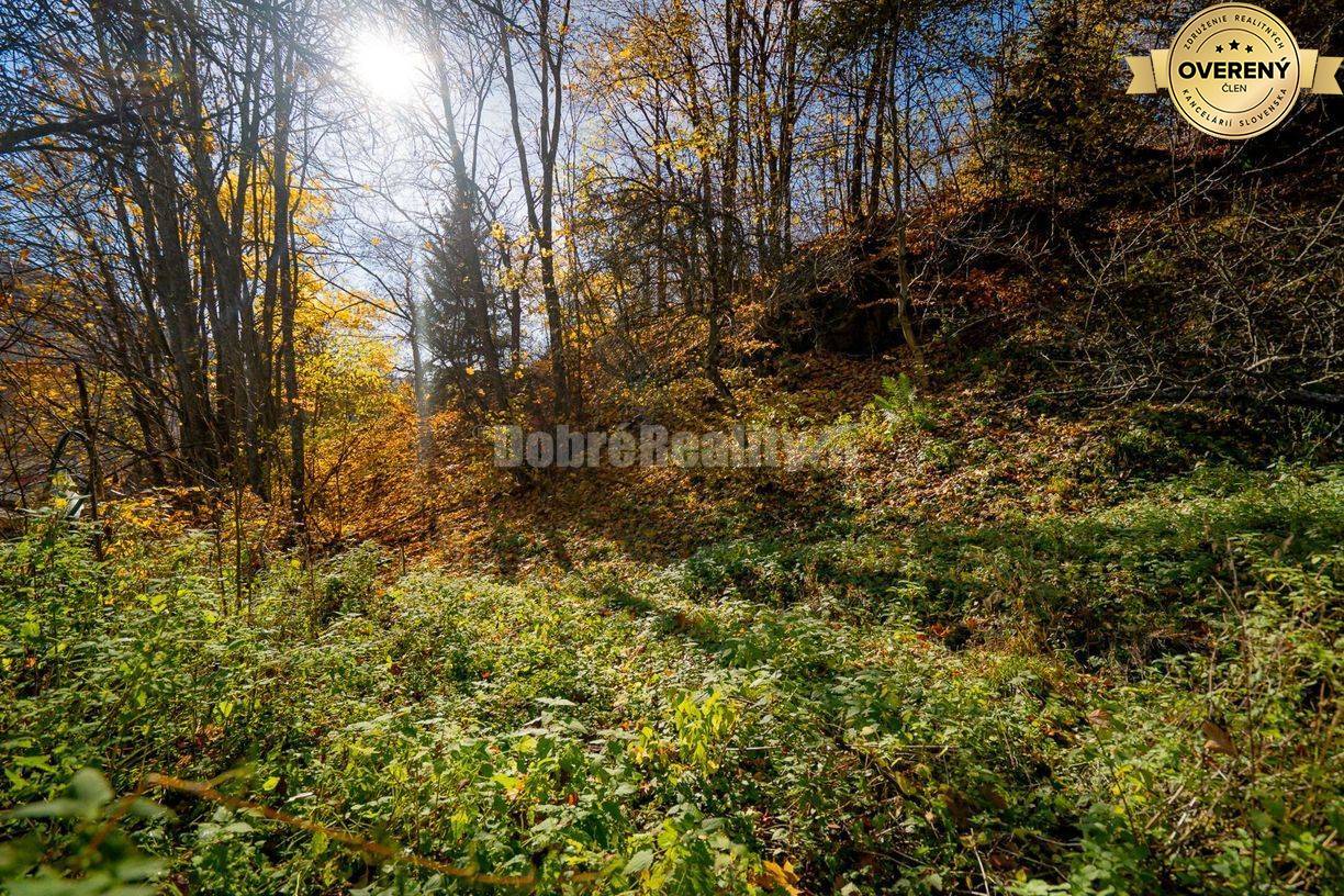 PREDAJ: Tajuplná záhrada s jazierkom a banským potôčikom, 1927 m2, Špa