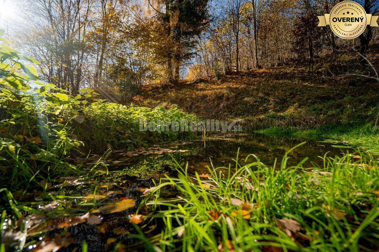 PREDAJ: Tajuplná záhrada s jazierkom a banským potôčikom, 1927 m2, Špa