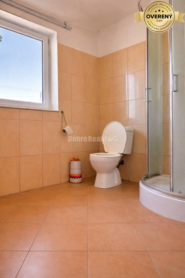 Priestranný rodinný dom v obci Dolné Saliby