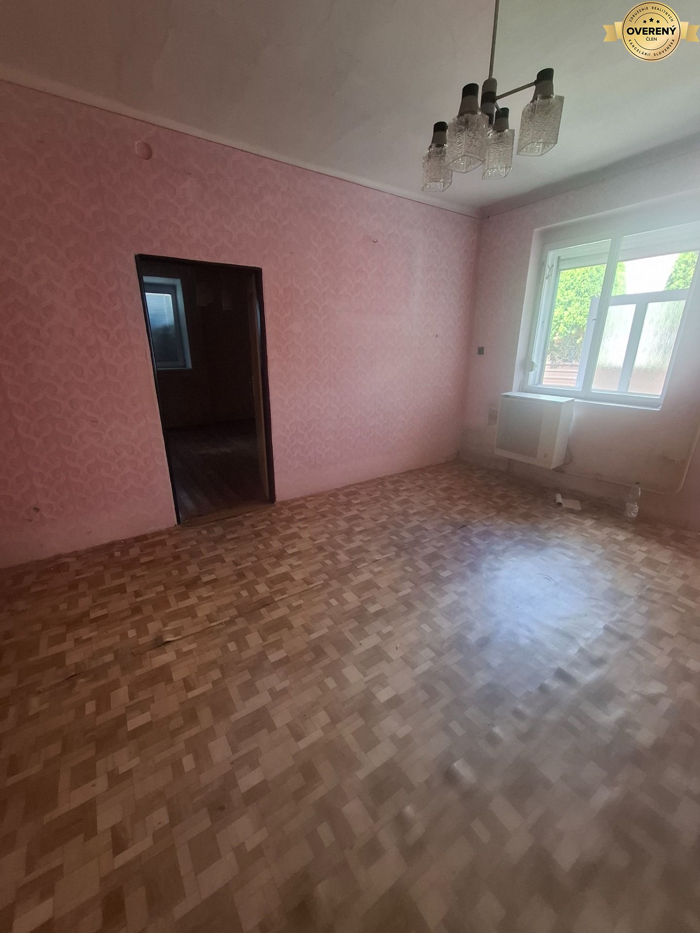 1000043260.jpg