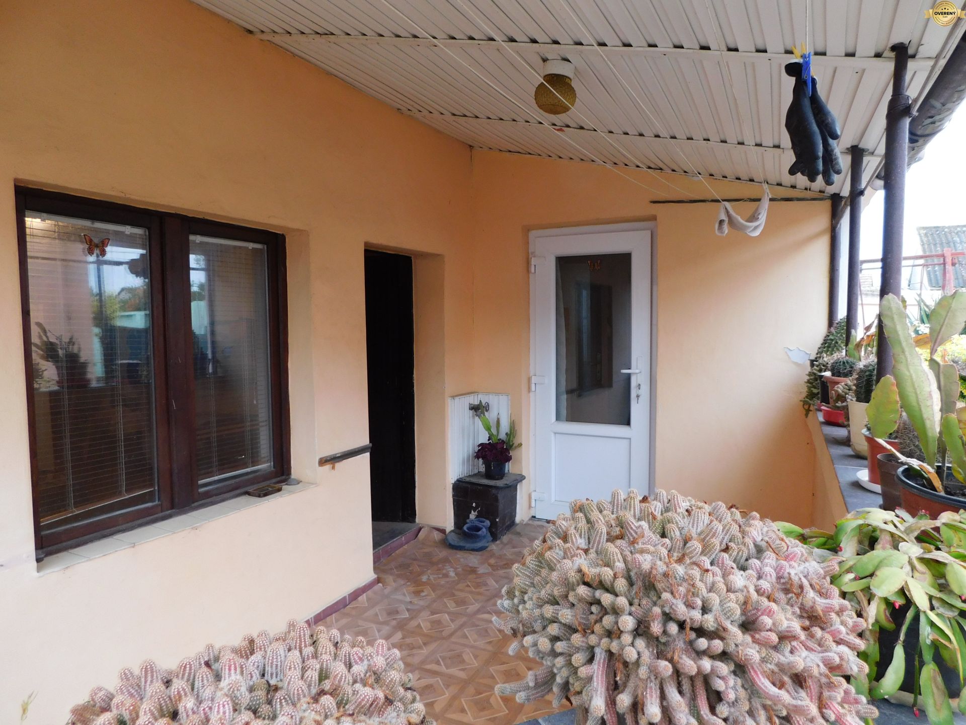 DSCN6168.JPG