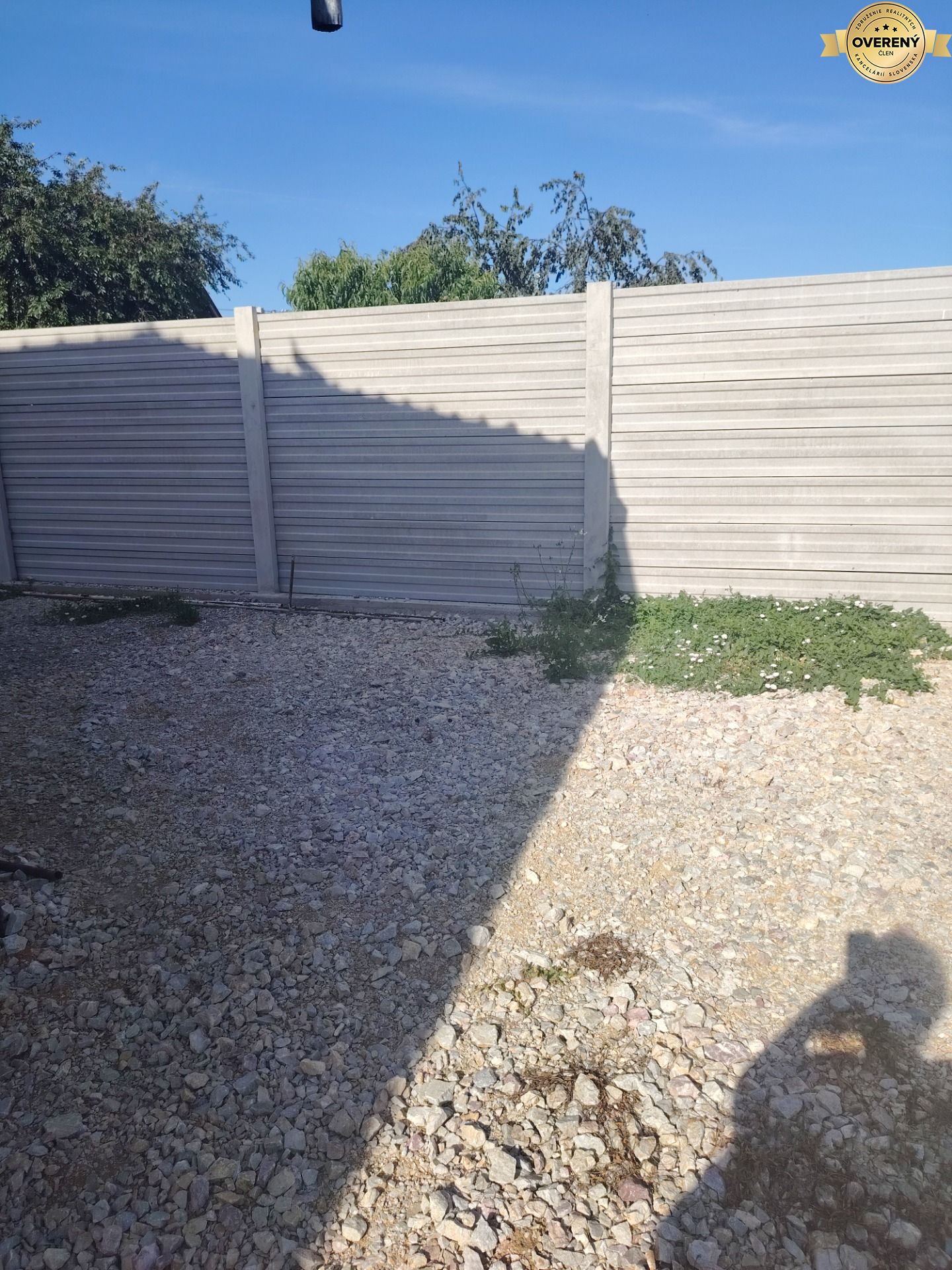 1000062453.jpg