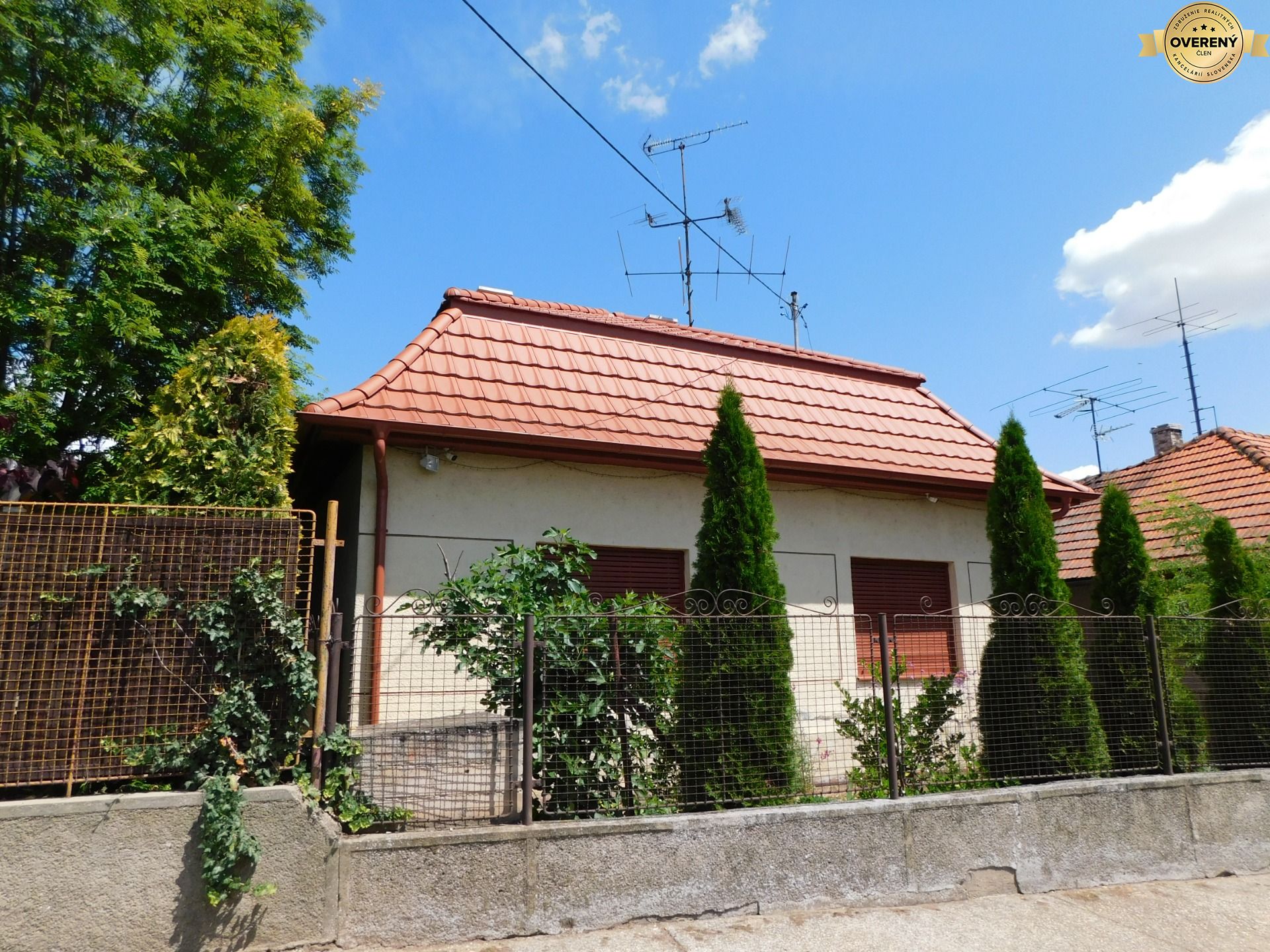 DSCN6398.JPG