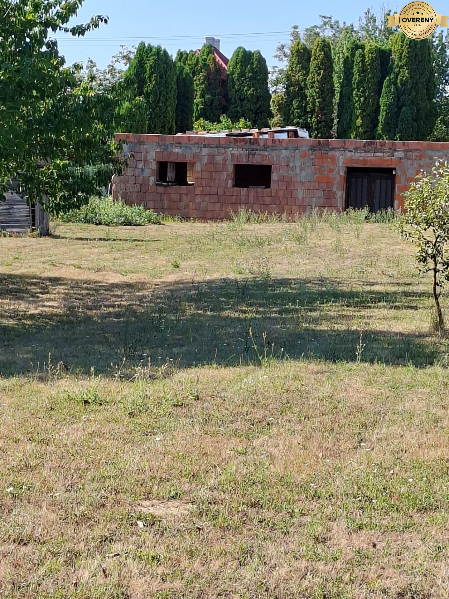 20260729_164158.jpg