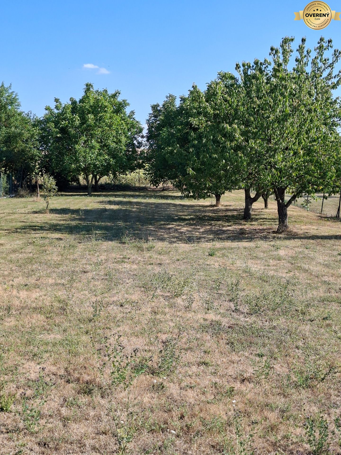 20260729_164531.jpg
