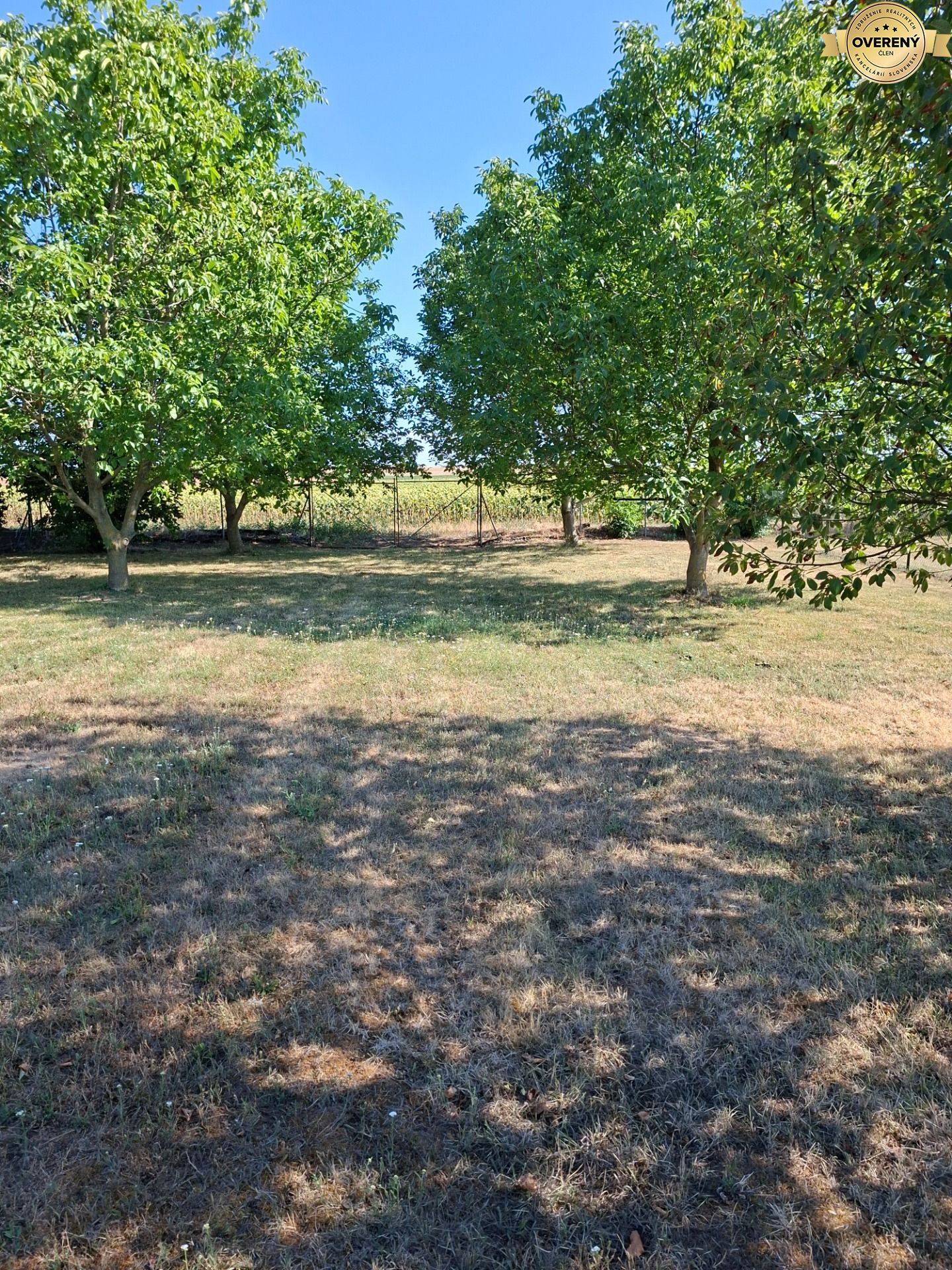 20260729_163735.jpg