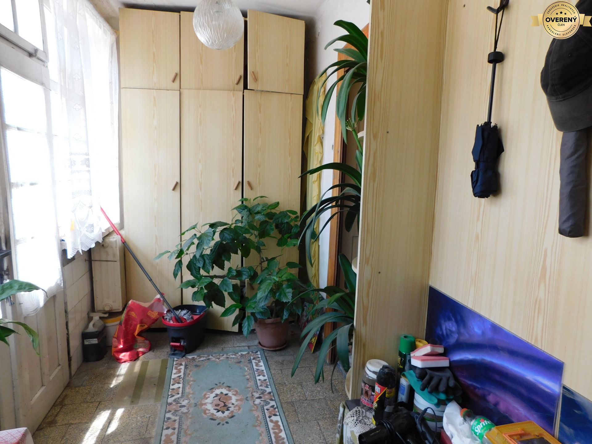 DSCN6728.JPG