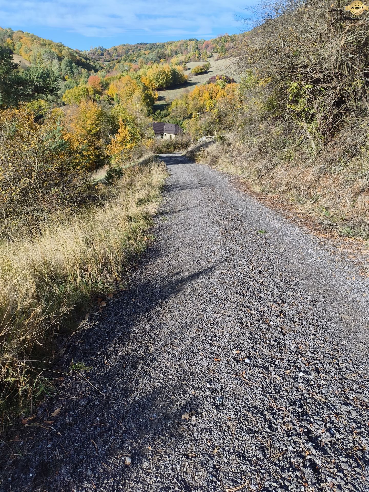 MVIMG_20261018_100912 (1).jpg
