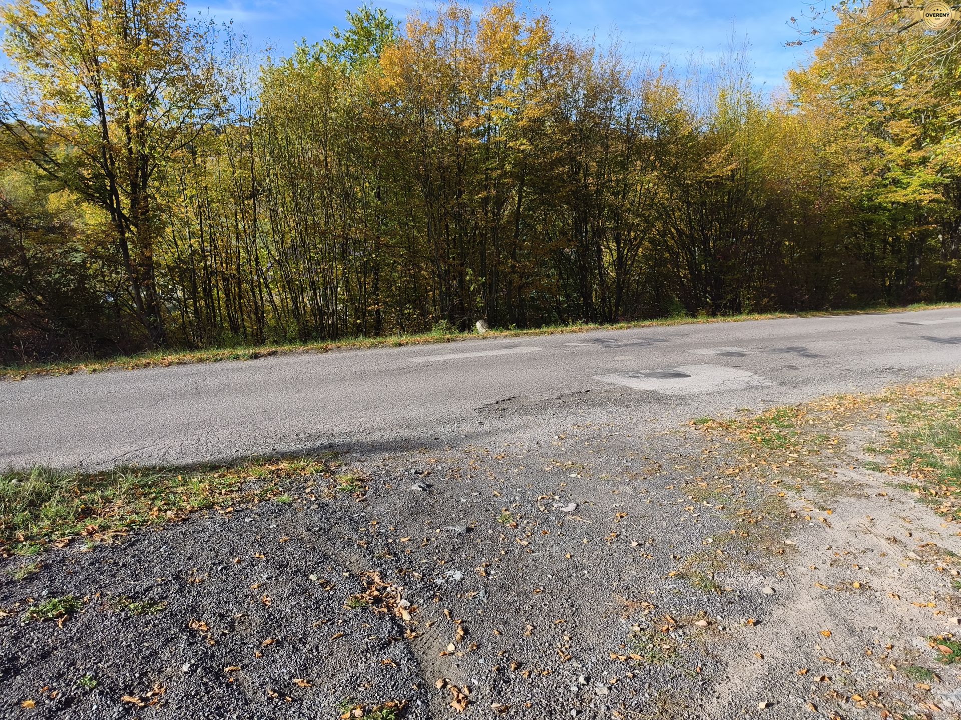 MVIMG_20261018_101314.jpg