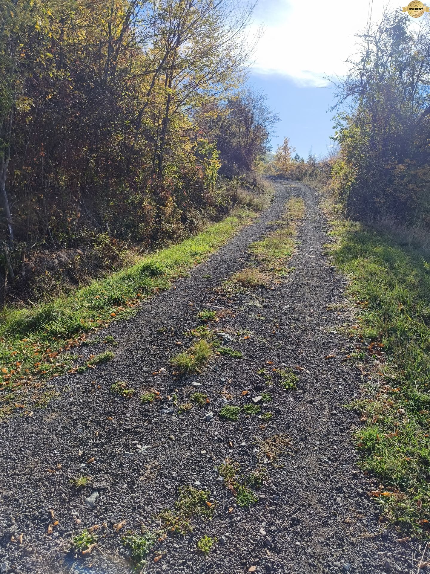 MVIMG_20261018_101259.jpg